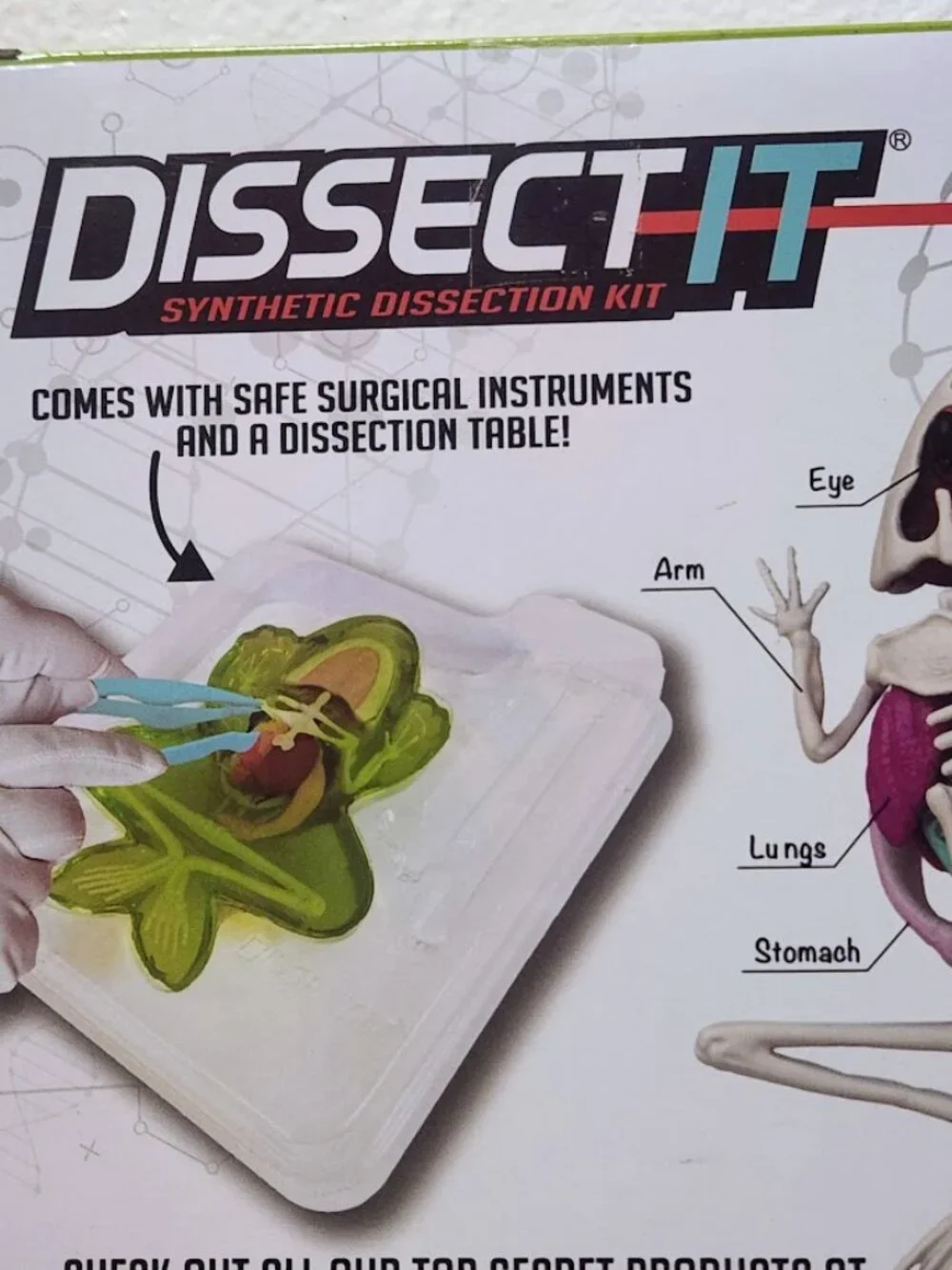 NEW Dissect-it Synthetic Lab Dissection Toy STEM KIT CRAFT Project Frog Biology